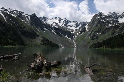 Citi and World Wildlife Fund Support Sustainable Small Business Development in the Altai Region By Tatiana Avramenko